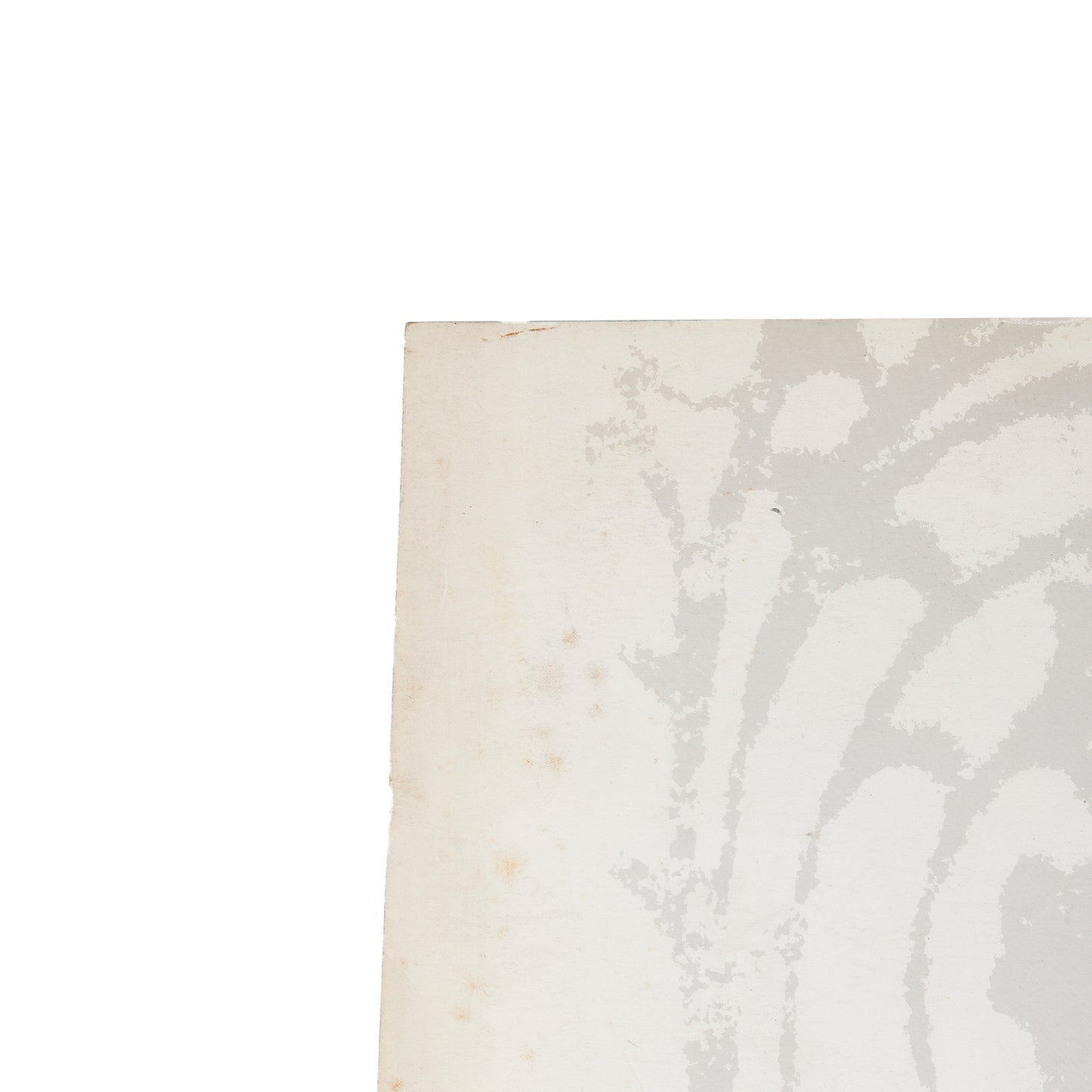 Mitsuhiro Matsuda FW 1990 Women's Lookbook By CLAUS WICKRATH