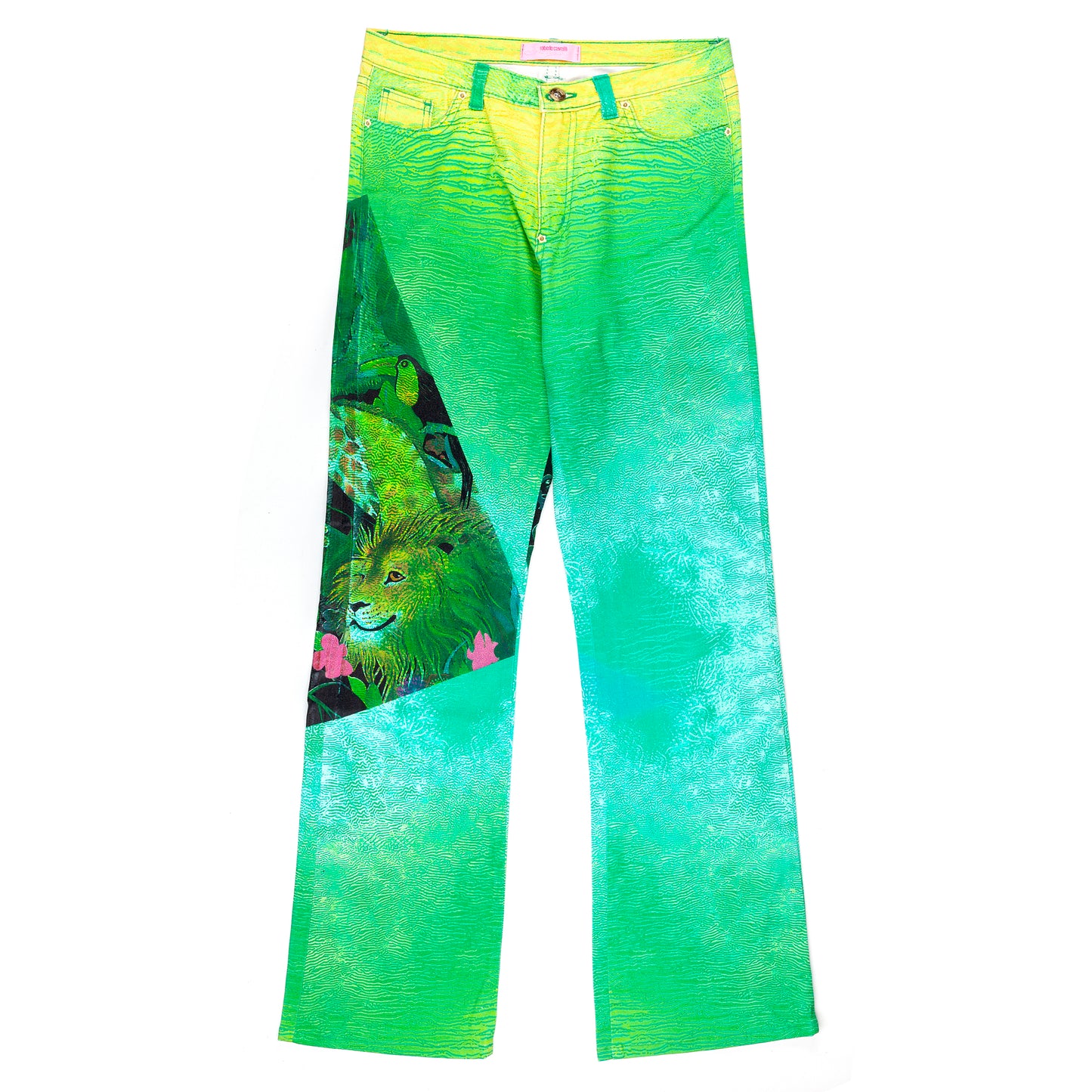 Roberto Cavalli Angel Blue/Green Printed Pants (S)