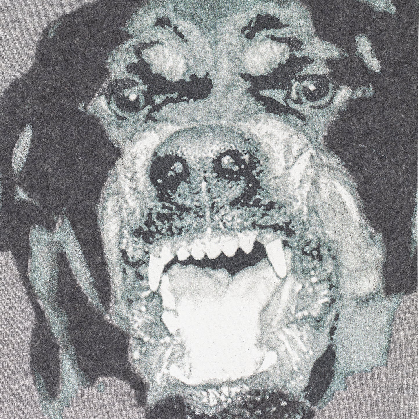 Givenchy Paris by Tisci Rottweiler Dog Gray T-Shirt (M)