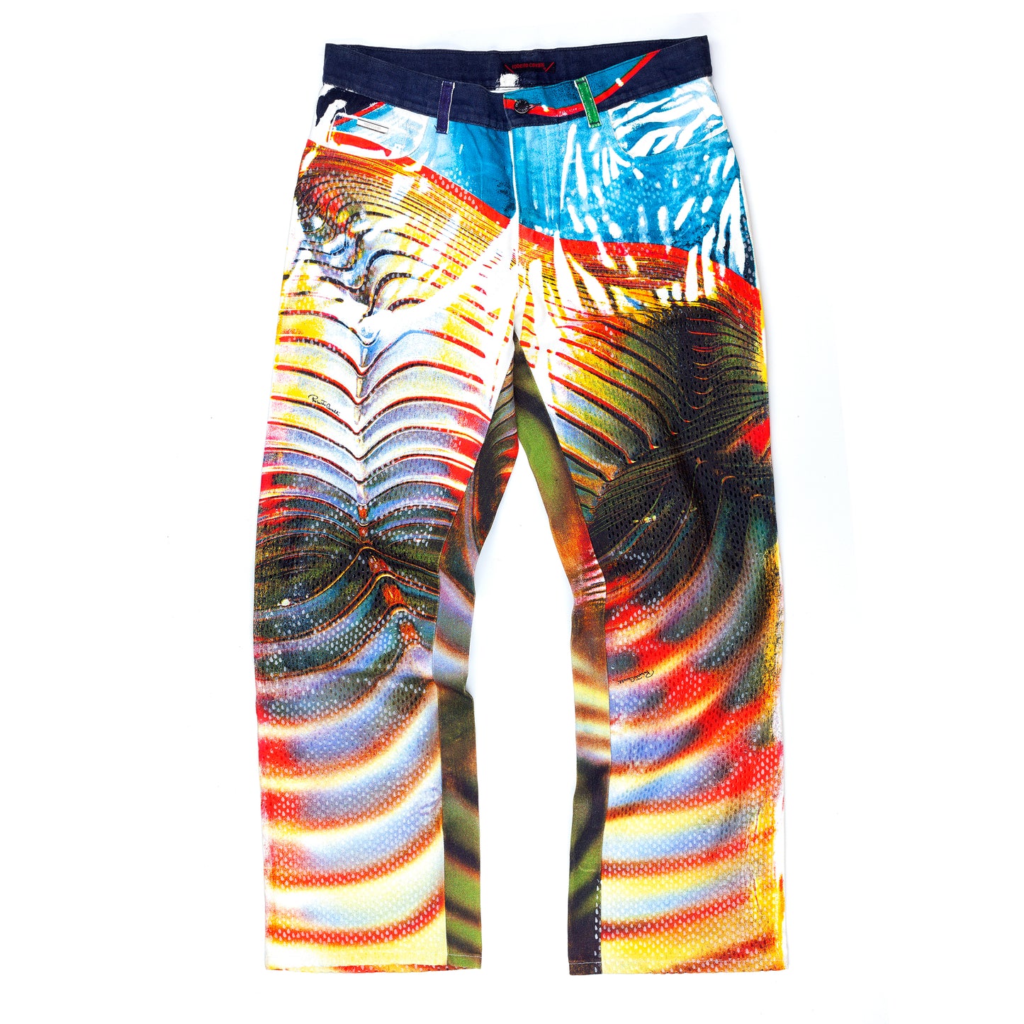 Roberto Cavalli Multicolor Hysteric Spiral Pants (M)