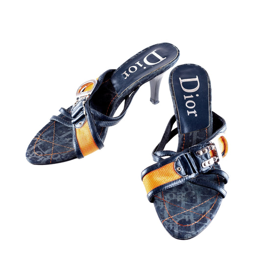 Christian Dior “Remove Before Flight” Monogram Denim Heels